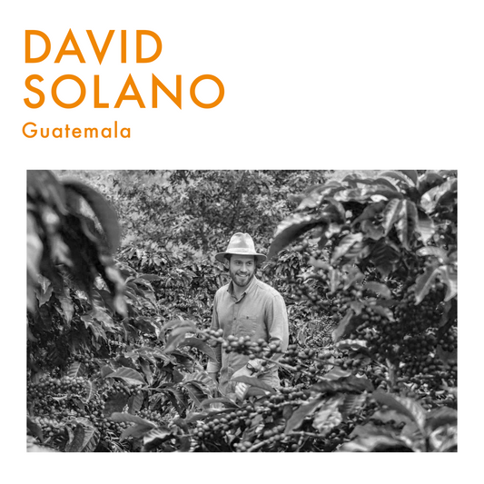 Guatemala Anaérobique | David Solano