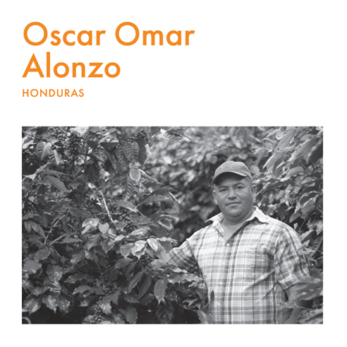 Honduras Geisha - Oscar Omar Alonzo 200g
