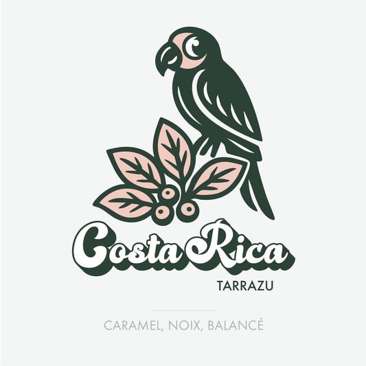Costa Rica Tarrazu