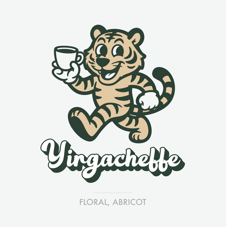 Éthiopie Yirgacheffe