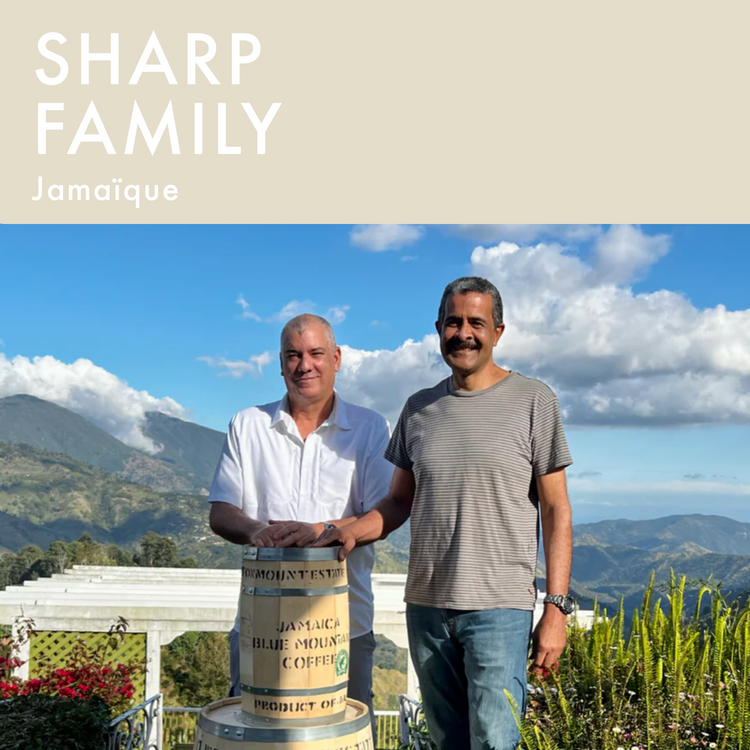 Jamaica Blue Mountain - Sharp Family 200g