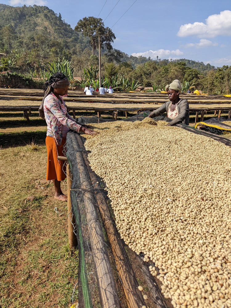 Ethiopien ODO-SHAKISO