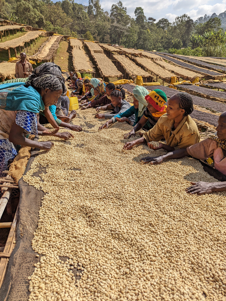 Ethiopien ODO-SHAKISO