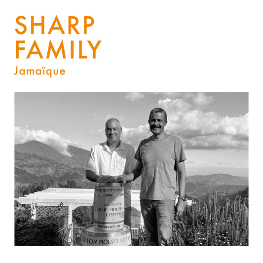 Jamaica Blue Mountain - Sharp Family 200g